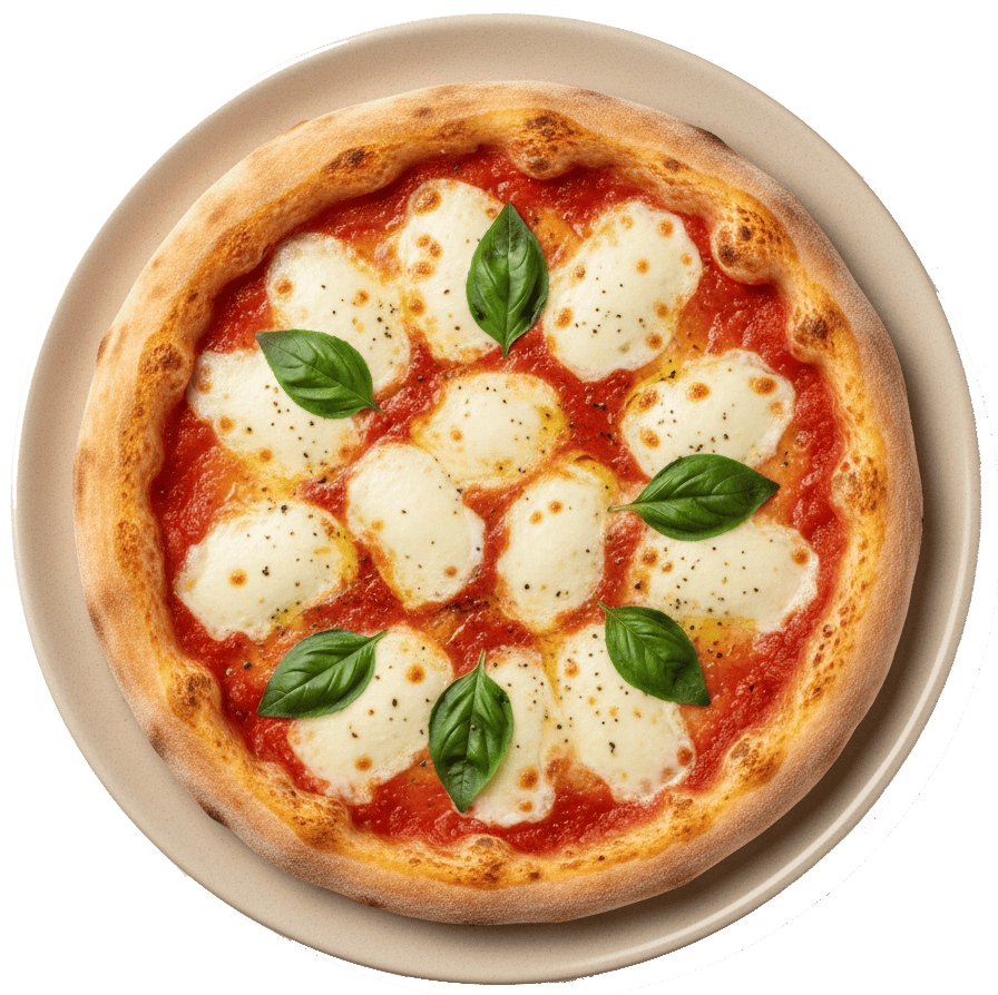 Fresh margherita pizza